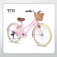 אופני  STYLE וינטיג'  24 - הילוכים