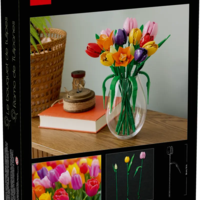 לגו Botanicals – זר צבעונים (11501) LEGO