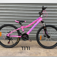אופני הרים בולם קדמי דיסק שלדה ברזל