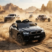 bmw 12v X6