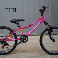 אופני הרים בולם קדמי