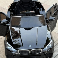 bmw 12v X6