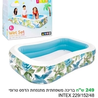 מגוון בריכות ומוצרי קיץ
