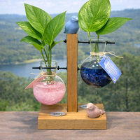 זוגיות בצמיחה – מבחנות קריסטל וצמחים חיים