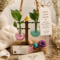 זוגיות בצמיחה – מבחנות קריסטל וצמחים חיים