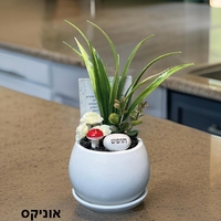 עציצי קריסטל מעוצבים