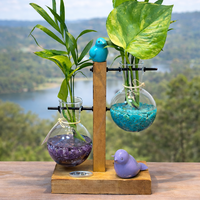 זוגיות בצמיחה – מבחנות קריסטל וצמחים חיים