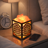 מנורות מלח לייזר זרע החיים