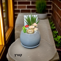 עציצי קריסטל מעוצבים