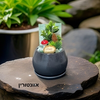 עציצי קריסטל מעוצבים
