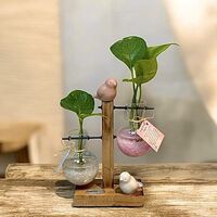 צומחים יחד – מעמד זוג מבחנות עם קריסטלים וצמח חי