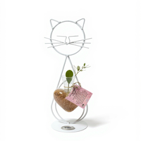 חתול הלב הקריסטלי - אנרגיה, טבע ואהבה