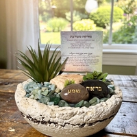 מזרקה בינונית מעורבת סיטרין אוונטורין אמזונייט