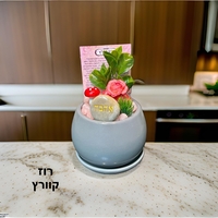 עציצי קריסטל מעוצבים