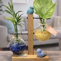 זוגיות בצמיחה – מבחנות קריסטל וצמחים חיים