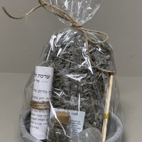 ערכת מרווה לטיהור