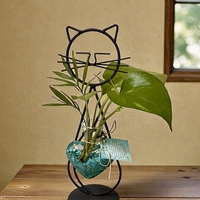 חתול הלב הקריסטלי - אנרגיה, טבע ואהבה