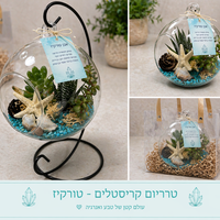 טרריום - עולם קטן של טבע, עיצוב ואנרגיה