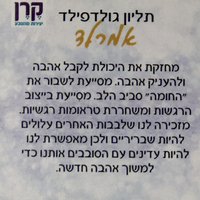 שרשרת עם תליון קריסטל אמרלד