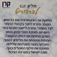 שרשרת עם תליון קריסטל לברדורייט