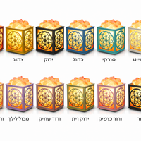 מנורת מלח לייזר פרח החיים