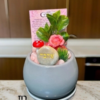 עציצי קריסטל מעוצבים