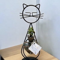 חתול הלב הקריסטלי - אנרגיה, טבע ואהבה