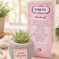 עציץ קריסטל מעוצב
