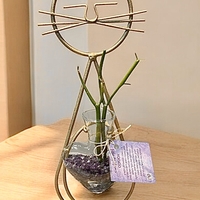 חתול הלב הקריסטלי - אנרגיה, טבע ואהבה