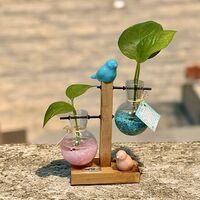 צומחים יחד – מעמד זוג מבחנות עם קריסטלים וצמח חי