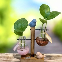 צומחים יחד – מעמד זוג מבחנות עם קריסטלים וצמח חי