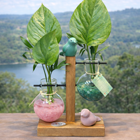 זוגיות בצמיחה – מבחנות קריסטל וצמחים חיים