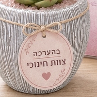 עציץ קריסטל מעוצב