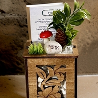 עציץ קריסטל בכלי לייזר קטן
