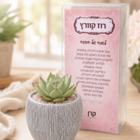 עציץ קריסטל מעוצב