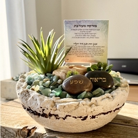 מזרקה בינונית מעורבת סיטרין אוונטורין אמזונייט