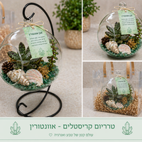 טרריום - עולם קטן של טבע, עיצוב ואנרגיה