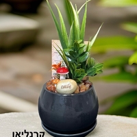עציצי קריסטל מעוצבים