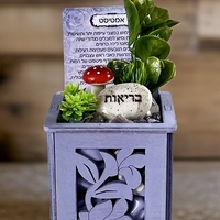 עציץ קריסטל בכלי לייזר קטן