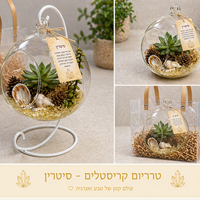 טרריום - עולם קטן של טבע, עיצוב ואנרגיה