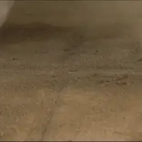 מברשת חשמלית נטענת לניקיון הבית