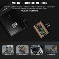 סוללה חלופית NEEWER 2400mAh DMW-BLK22 למצלמות PANASONIC