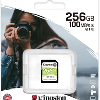 כרטיס זיכרון KINGSTONE CANVAS PLUS 256GB 100MB