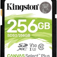 כרטיס זיכרון KINGSTONE CANVAS PLUS 256GB 100MB