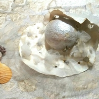 פסל יוצא מתוך הקליפה
