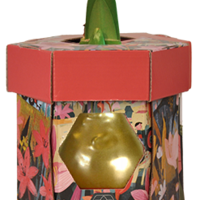 סאנבלום - ג'מבו