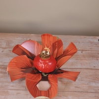 סאנבלום - ג'מבו