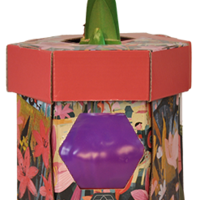 סאנבלום - ג'מבו