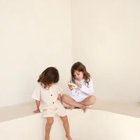 דגם רפאל - בז׳