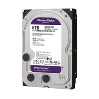 6TB 256MB SATA III 6TB 63PURZ PURPLE WD